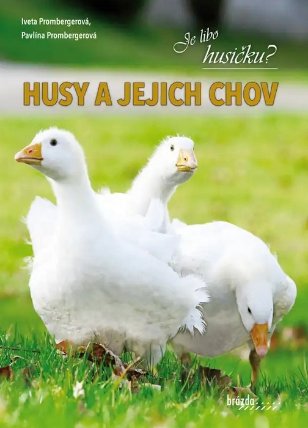 Husy a jejich chov