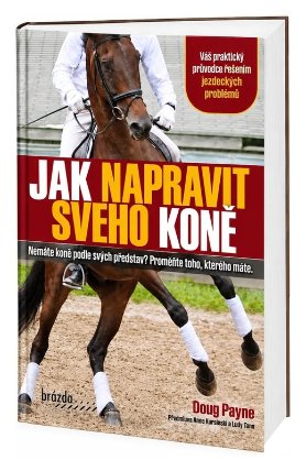 Jak napravit svého koně