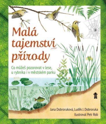 Malá tajemství přírody: Co můžeš pozorovat v lese, u rybníka i v městském parku