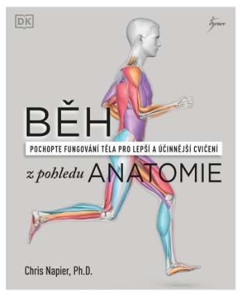 Běh z pohledu anatomie - Správná technika, prevence před zraněním, nastavení tréninku