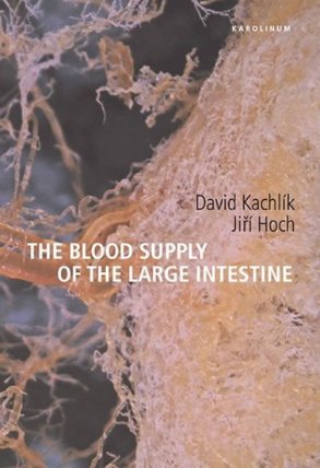 The Blood Supply od the Large Intestine