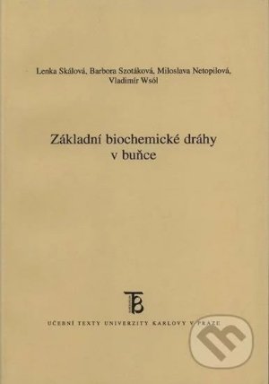 Základní biochemické dráhy v buňce