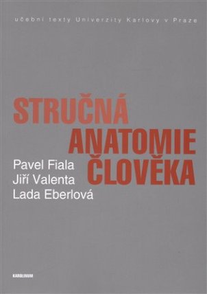Stručná anatomie člověka