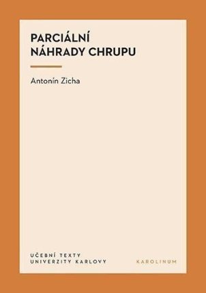 Parciální náhrady chrupu