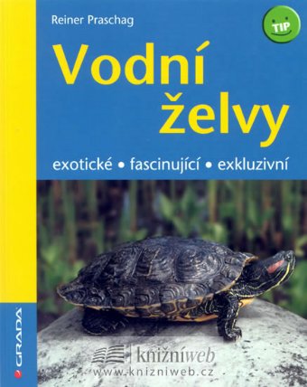 Vodní želvy – exotické, fascinující, exkluzivní