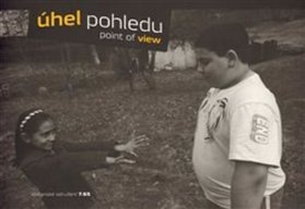 Úhel pohledu