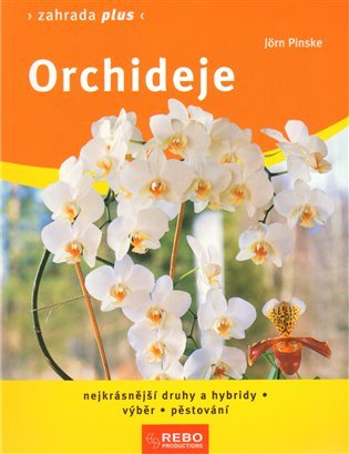 Orchideje
