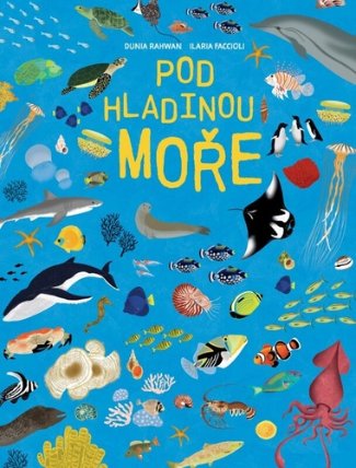 Pod hladinou moře
