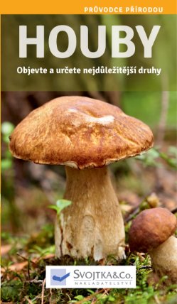 Houby - Objevte a určete nejdůležitější druhy