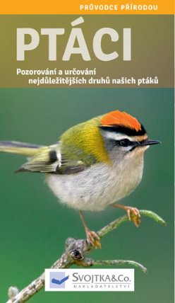 Ptáci - Pozorování a určování nejdůležitějších druhů našich ptáků