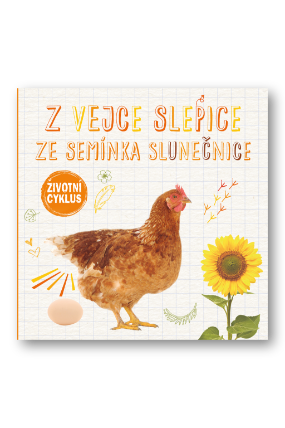 Z vejce slepice, ze semínka slunečnice - Životní cyklus