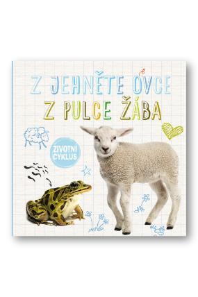 Z jehněte ovce, z pulce žába - Životní cyklus