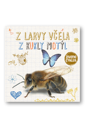Z larvy včela, z housenky motýl - Životní cyklus
