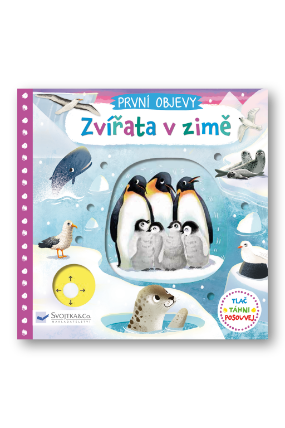 Zvířata v zimě