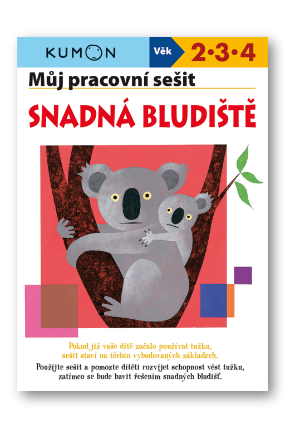Snadná bludiště - Můj pracovní sešit
