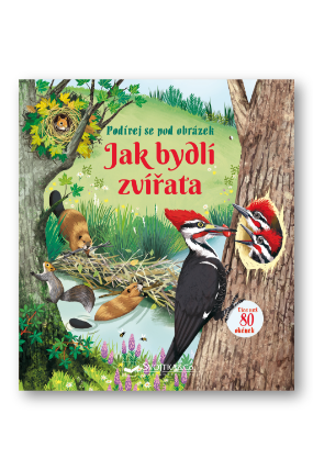 Jak bydlí zvířata