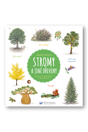 Stromy