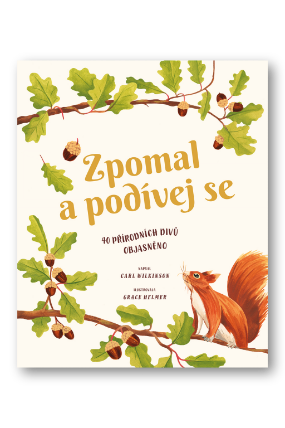 Zpomal a podívej se