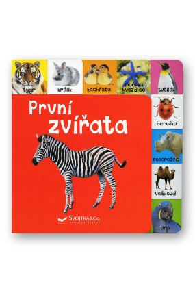 První zvířata
