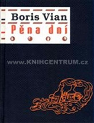 Pěna dní