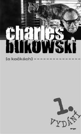O kočkách