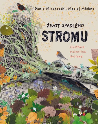 Život spadlého stromu