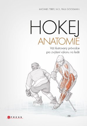 Hokej - anatomie