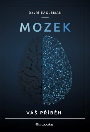 Mozek