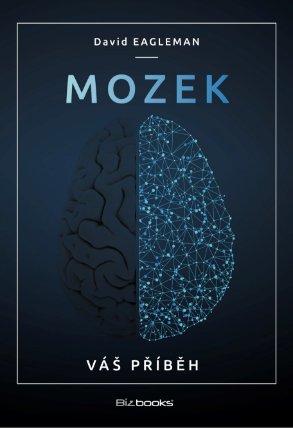 Mozek