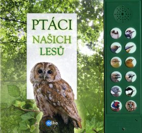 Ptáci našich lesů
