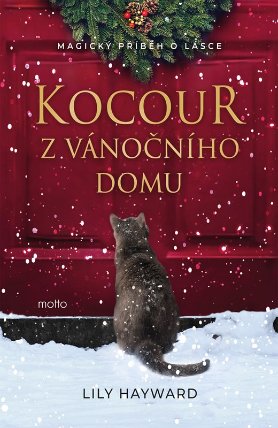 Kocour z vánočního domu