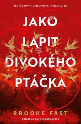 Jako lapit divokého ptáčka