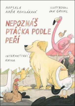 Nepoznáš ptáčka podle peří