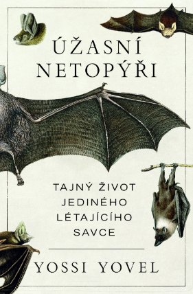 Úžasní netopýři