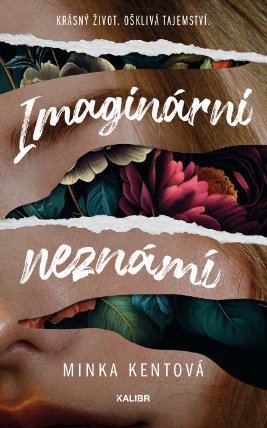 Imaginární neznámí