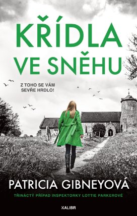 Křídla ve sněhu