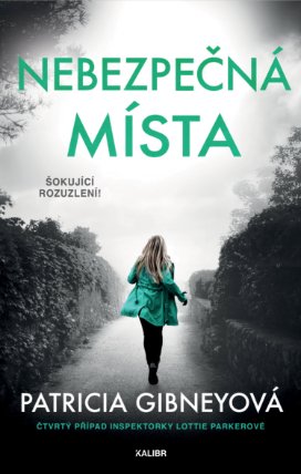 Nebezpečná místa