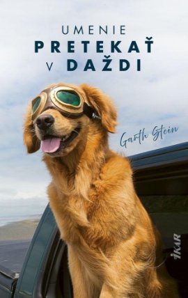 Umenie pretekať v daždi (slovensky)