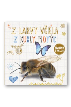 Z larvy včela Z kukly motýľ