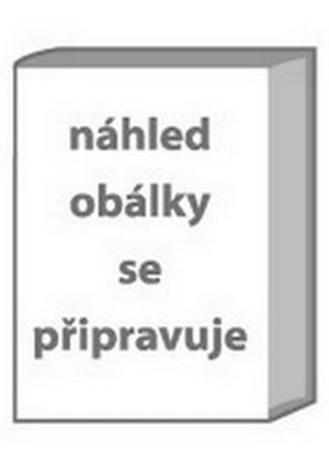 Záplavy