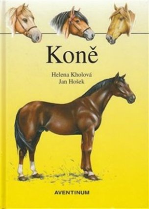 Koně