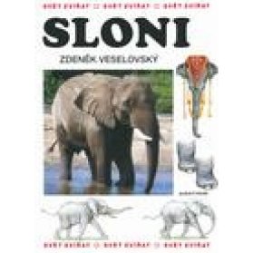 Sloni