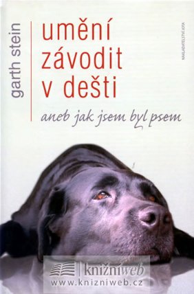 Umění závodit v dešti aneb jak jsem byl psem