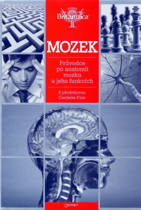Mozek - Průvodce po anatomii mozku a jeho funkcích