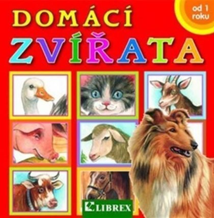 Domácí zvířata