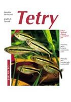 Tetry - Jak na to