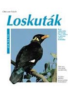Loskuták - Jak na to