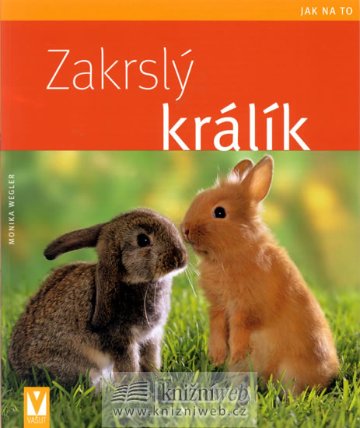 Zakrslý králík - Jak na to