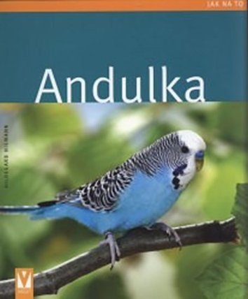 Andulka - Jak na to