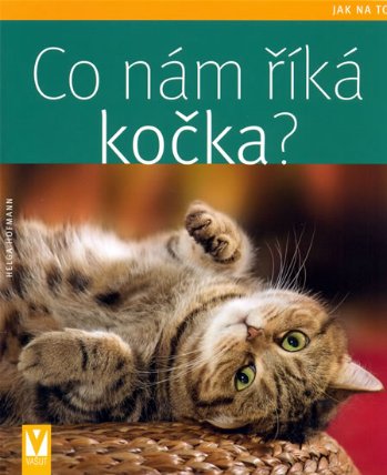 Co nám říká kočka?